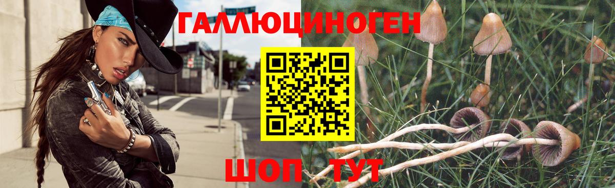Псилоцибиновые грибы MAGIC MUSHROOMS  Псилоцибиновые грибы мухоморы  Вход с VPN  Гатчина 