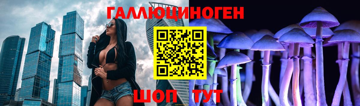 Галлюциногенные грибы Psilocybine cubensis Гатчина